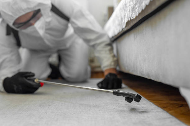 Professional Fumigation Services technician working in Fayetteville, AR
