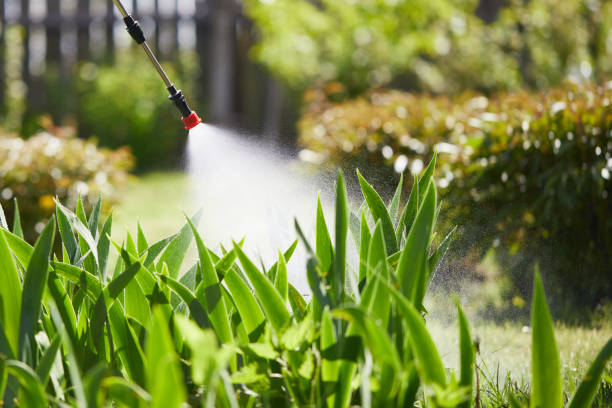24/7 Emergency Fumigation Services experts in Fayetteville, AR